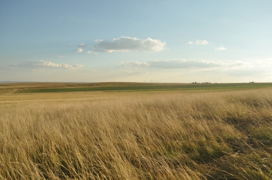 5 Bedroom Property for Sale in Reitz Rural Free State